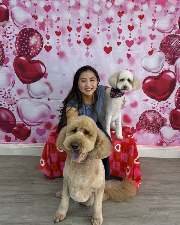 A woman poses with a cream goldendoodle and a small white poodle against a Valentine hearts backdrop.