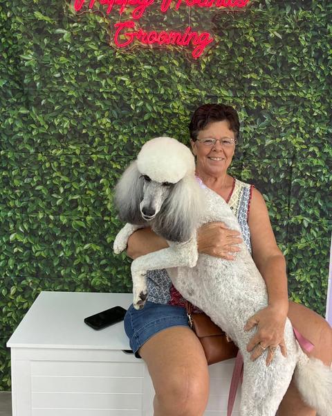 A person holds a large grey and white poodle with a rounded topknot by a leafy wall.