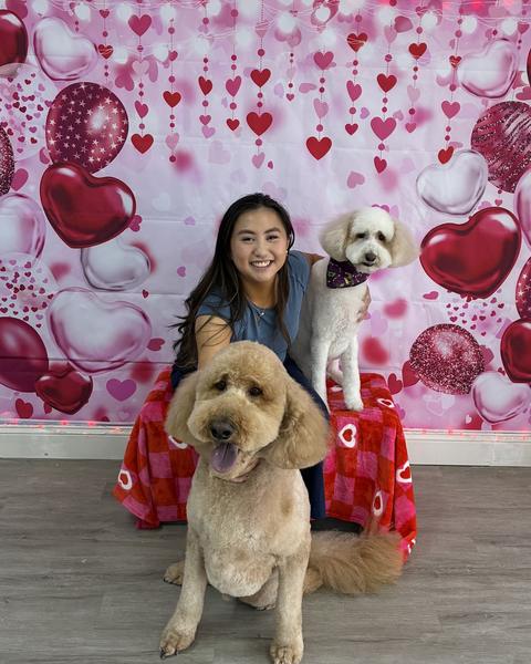 A woman poses with a cream goldendoodle and a small white poodle against a Valentine hearts backdrop.