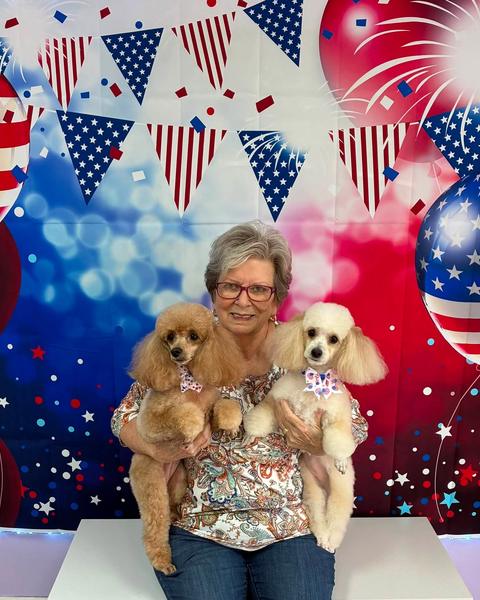 A customer holds two small apricot and cream poodles with fluffy ears in front of a patriotic backdrop.