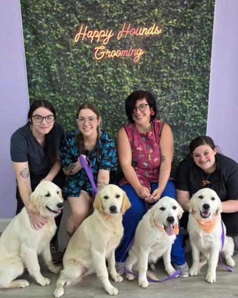 Four groomers kneel with four cream golden retriever puppies against a green leaf wall and neon sign.