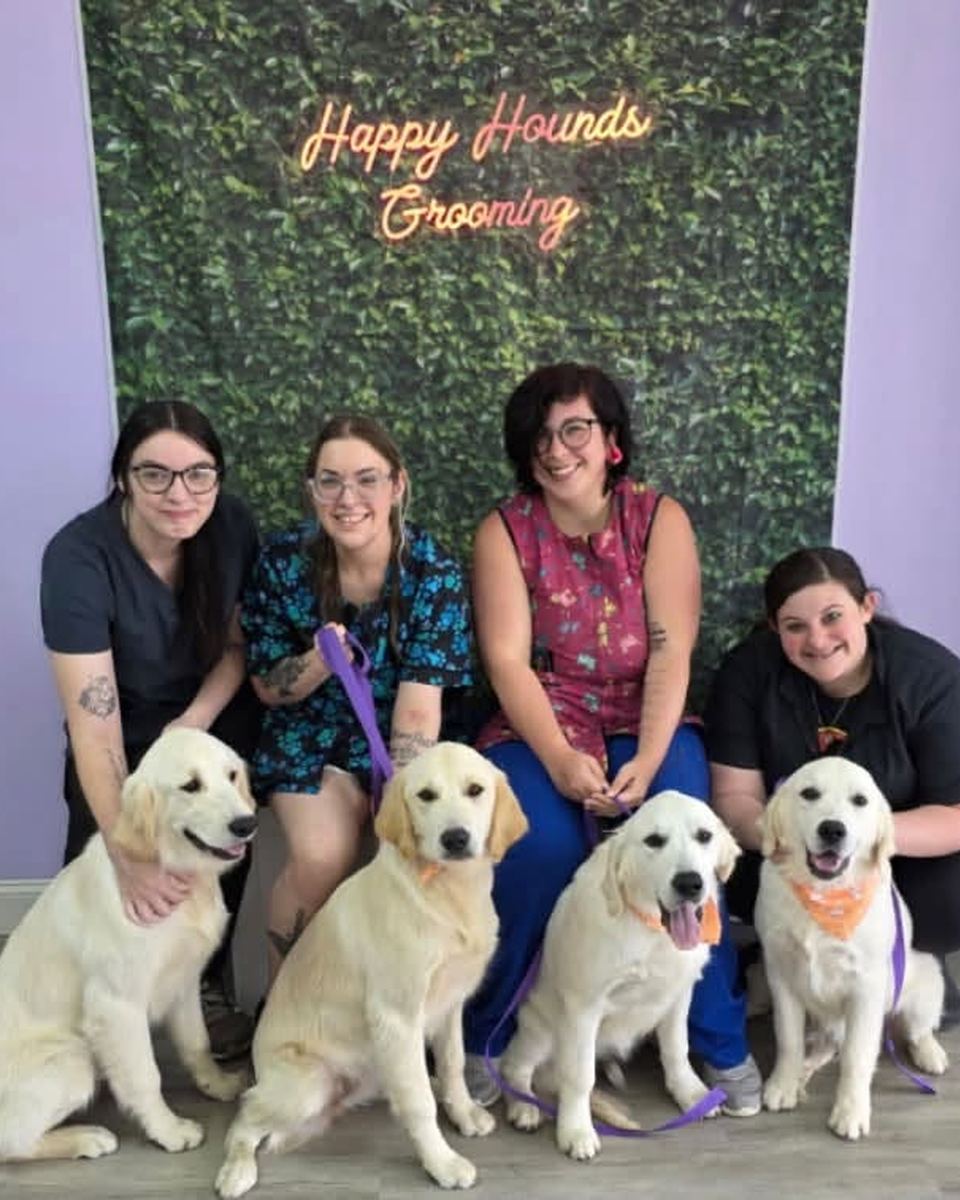 Four groomers kneel with four cream golden retriever puppies against a green leaf wall and neon sign.